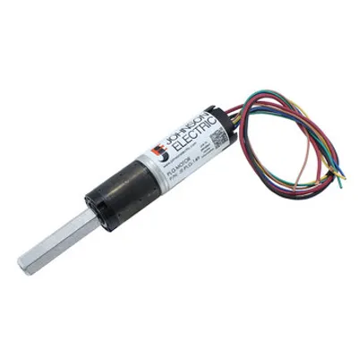 Johnson Electric Motor